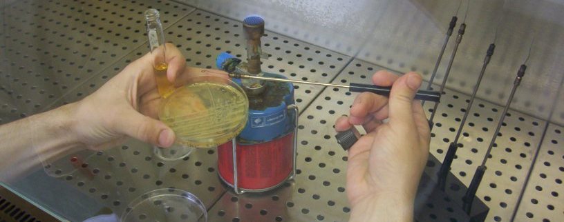 Microbiología y Seguridad Alimentaria