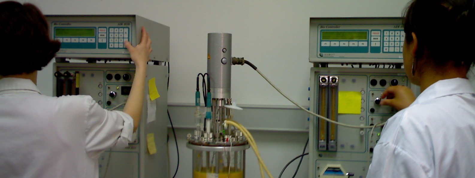 Tecnología e Ingeniería de Procesos Biotecnológicos